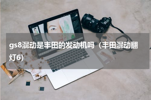 gs8混动是丰田的发动机吗（丰田混动翻灯6）