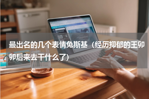最出名的几个表情兔斯基（经历抑郁的王卯卯后来去干什么了）