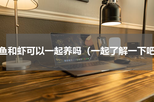 金鱼和虾可以一起养吗（一起了解一下吧）