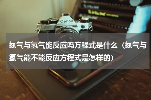 氮气与氢气能反应吗方程式是什么（氮气与氢气能不能反应方程式是怎样的）