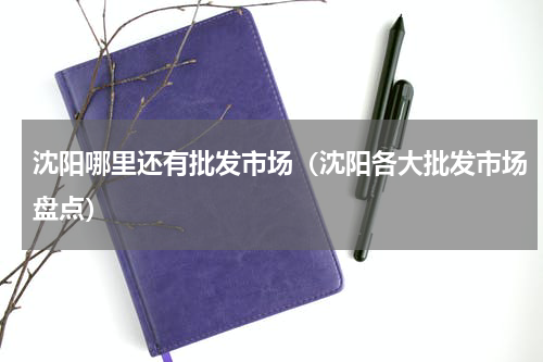 沈阳哪里还有批发市场（沈阳各大批发市场盘点）