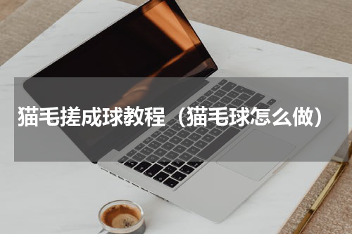 猫毛搓成球教程（猫毛球怎么做）