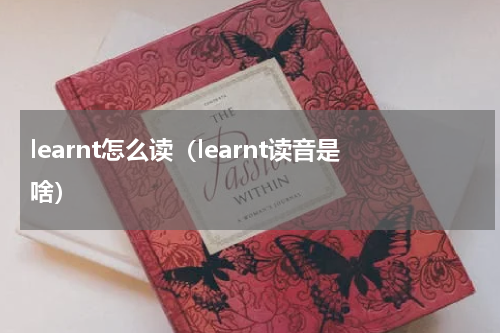 learnt怎么读（learnt读音是啥）