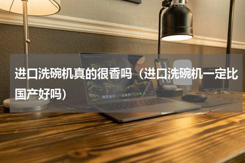 进口洗碗机真的很香吗（进口洗碗机一定比国产好吗）