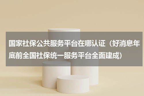 国家社保公共服务平台在哪认证（好消息年底前全国社保统一服务平台全面建成）