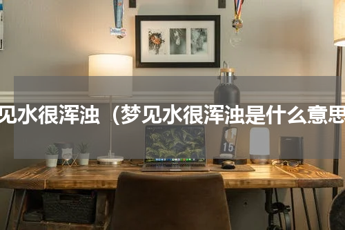 梦见水很浑浊（梦见水很浑浊是什么意思）