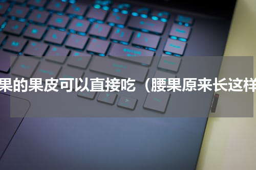 腰果的果皮可以直接吃（腰果原来长这样）