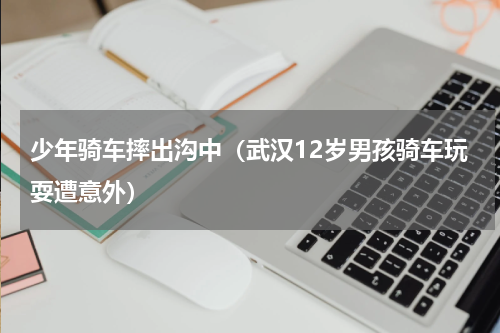 少年骑车摔出沟中（武汉12岁男孩骑车玩耍遭意外）