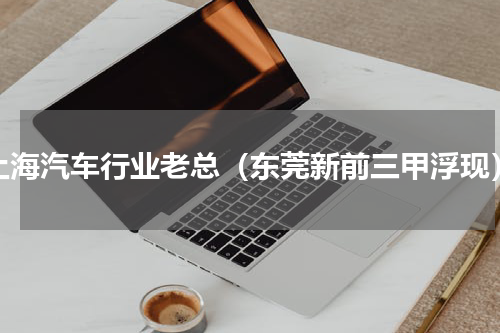 上海汽车行业老总（东莞新前三甲浮现）