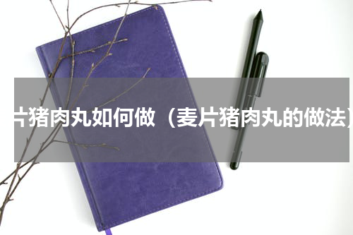 麦片猪肉丸如何做（麦片猪肉丸的做法）