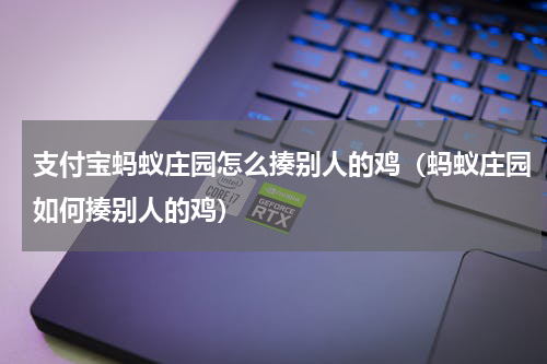 支付宝蚂蚁庄园怎么揍别人的鸡（蚂蚁庄园如何揍别人的鸡）