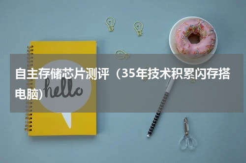 自主存储芯片测评（35年技术积累闪存搭电脑）