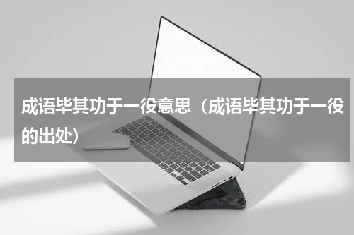 成语毕其功于一役意思（成语毕其功于一役的出处）