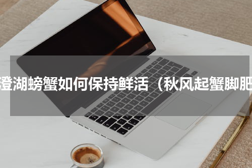 阳澄湖螃蟹如何保持鲜活（秋风起蟹脚肥）