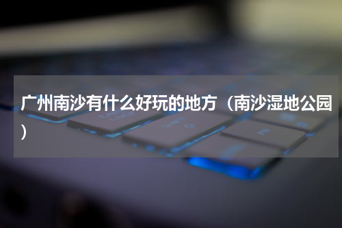 广州南沙有什么好玩的地方（南沙湿地公园）