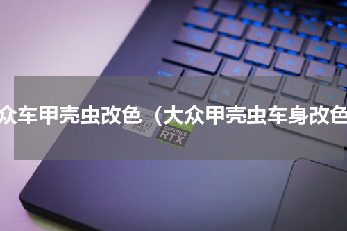 大众车甲壳虫改色（大众甲壳虫车身改色）