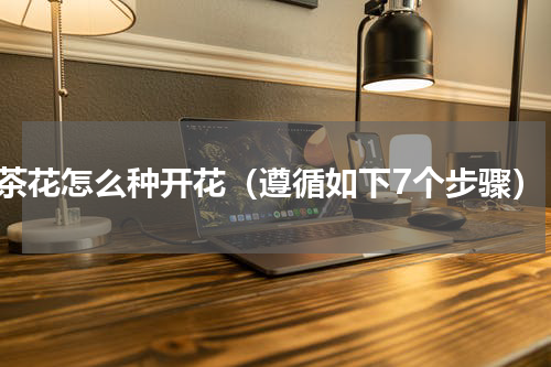 茶花怎么种开花（遵循如下7个步骤）