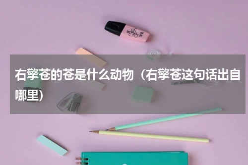 右擎苍的苍是什么动物（右擎苍这句话出自哪里）
