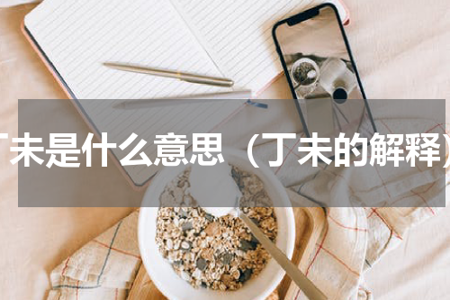 丁未是什么意思（丁未的解释）