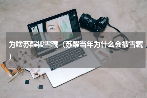 为啥苏醒被雪藏（苏醒当年为什么会被雪藏）
