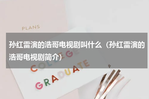 孙红雷演的浩哥电视剧叫什么（孙红雷演的浩哥电视剧简介）
