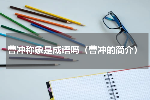 曹冲称象是成语吗（曹冲的简介）