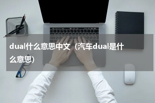 dual什么意思中文（汽车dual是什么意思）