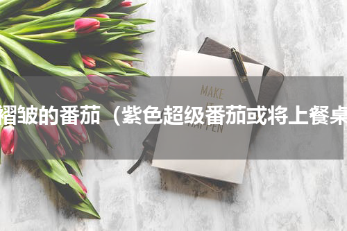 带褶皱的番茄（紫色超级番茄或将上餐桌）