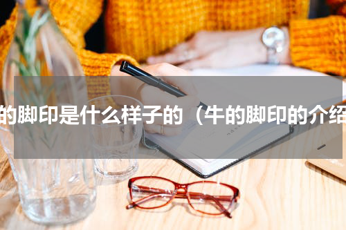 牛的脚印是什么样子的（牛的脚印的介绍）