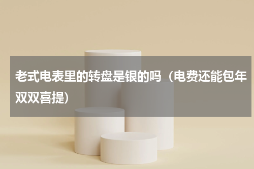 老式电表里的转盘是银的吗（电费还能包年双双喜提）