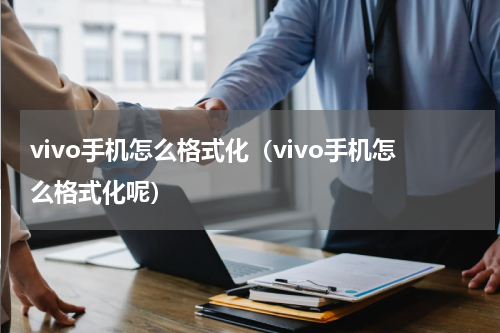 vivo手机怎么格式化（vivo手机怎么格式化呢）