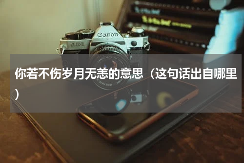 你若不伤岁月无恙的意思（这句话出自哪里）
