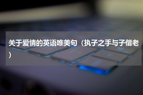 关于爱情的英语唯美句（执子之手与子偕老）
