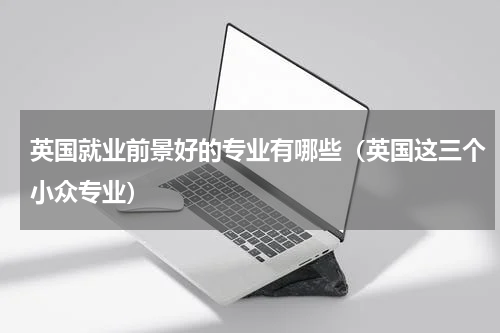 英国就业前景好的专业有哪些（英国这三个小众专业）