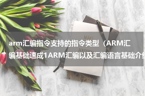 arm汇编指令支持的指令类型（ARM汇编基础速成1ARM汇编以及汇编语言基础介绍）