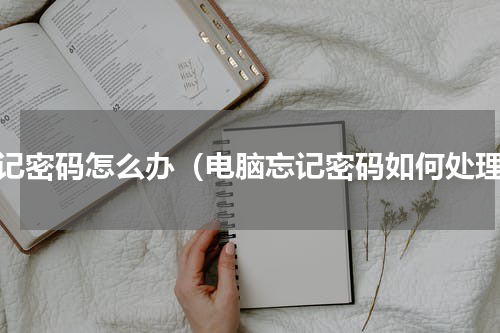 忘记密码怎么办（电脑忘记密码如何处理）