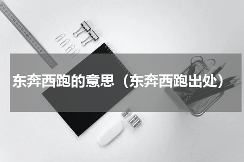 东奔西跑的意思（东奔西跑出处）