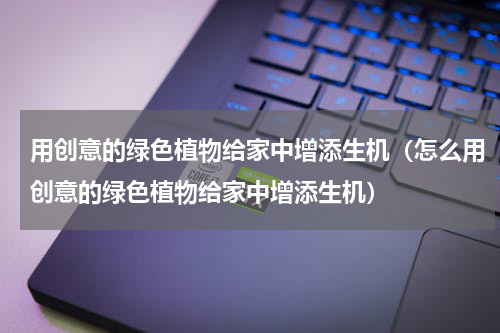 用创意的绿色植物给家中增添生机（怎么用创意的绿色植物给家中增添生机）