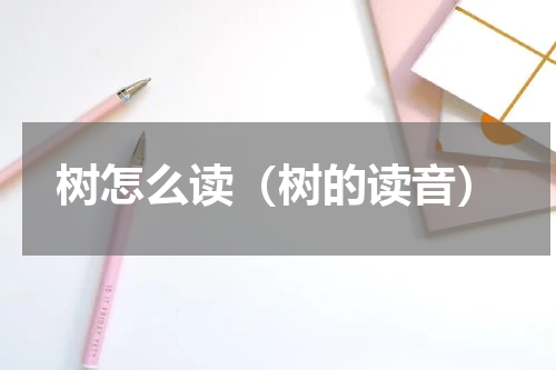 树怎么读（树的读音）