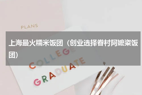 上海最火糯米饭团（创业选择眷村阿嬷粢饭团）
