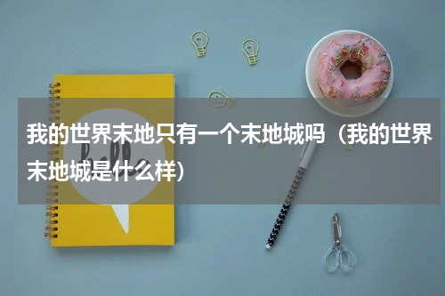 我的世界末地只有一个末地城吗（我的世界末地城是什么样）