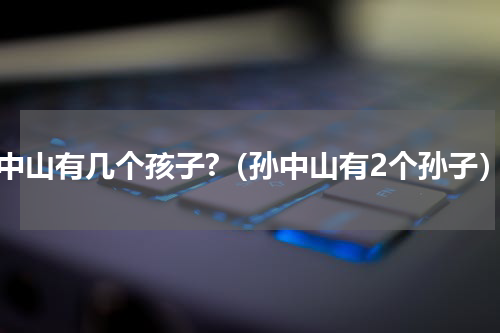 孙中山有几个孩子?（孙中山有2个孙子）
