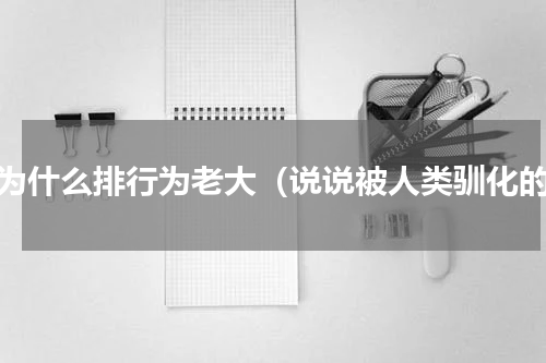 鼠为什么排行为老大（说说被人类驯化的）