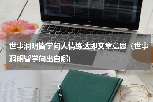 世事洞明皆学问人情练达即文章意思（世事洞明皆学问出自哪）