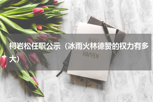 柯岩松任职公示（冰雨火林德赞的权力有多大）