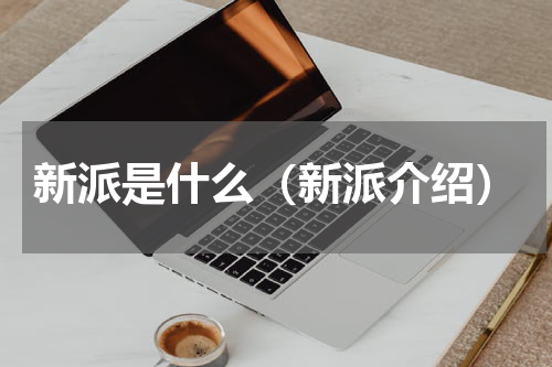 新派是什么（新派介绍）