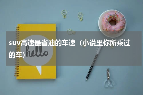 suv高速最省油的车速（小说里你所乘过的车）