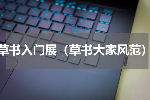 草书入门展（草书大家风范）