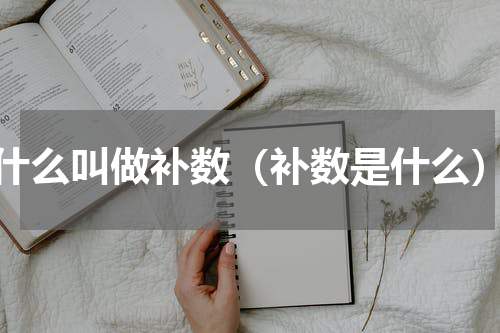 什么叫做补数（补数是什么）
