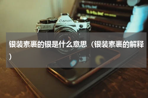 银装素裹的银是什么意思（银装素裹的解释）